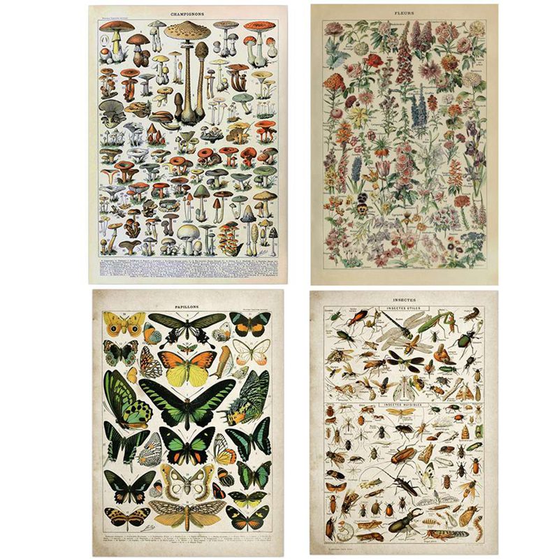 Art Craft Butterfly - Vintage Adolphe Millot Encyclopedia Canvas Painting