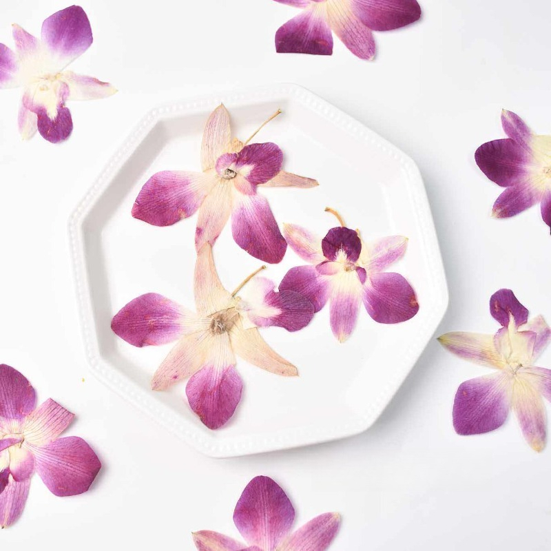 4pcs,Real Pressed Butterfly Or - огляд і ціна Art Craft Butterfly