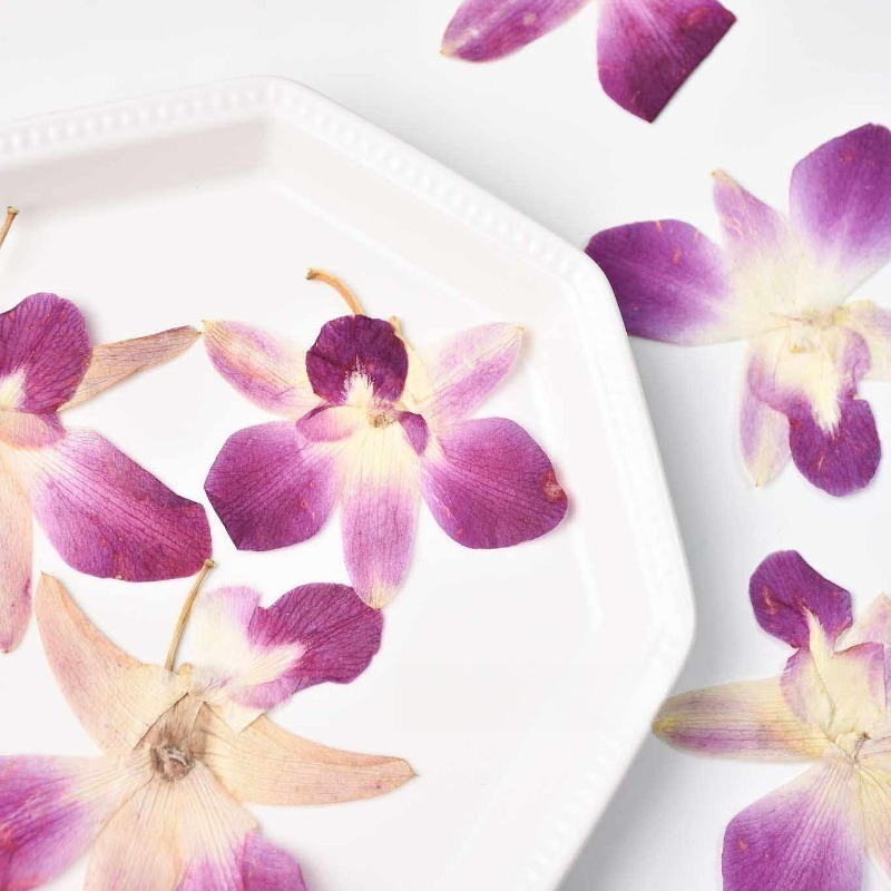 4pcs,Real Pressed Butterfly Or - огляд і ціна Art Craft Butterfly