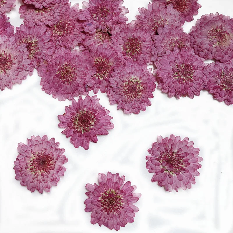 Nature Pressed Flowers Real Dr - огляд і ціна Art Craft 2 Year Olds