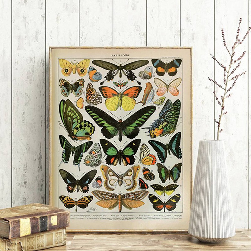 Vintage Adolphe Millot Encyclo - огляд і ціна Art Craft Butterfly