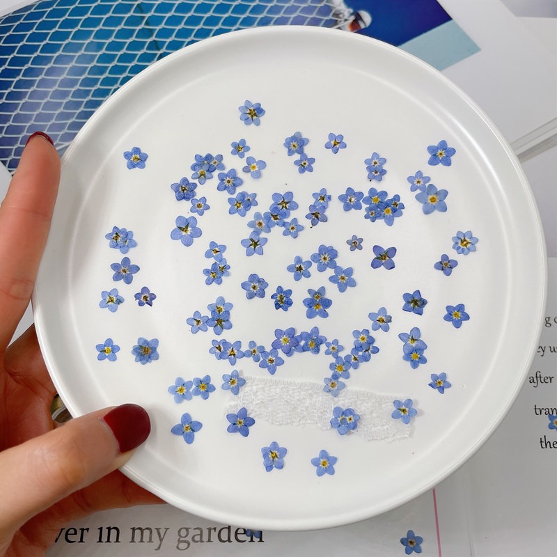 100pcs/0.5-1cm,Pressed mini fo - огляд і ціна Art Craft 2 Year Olds