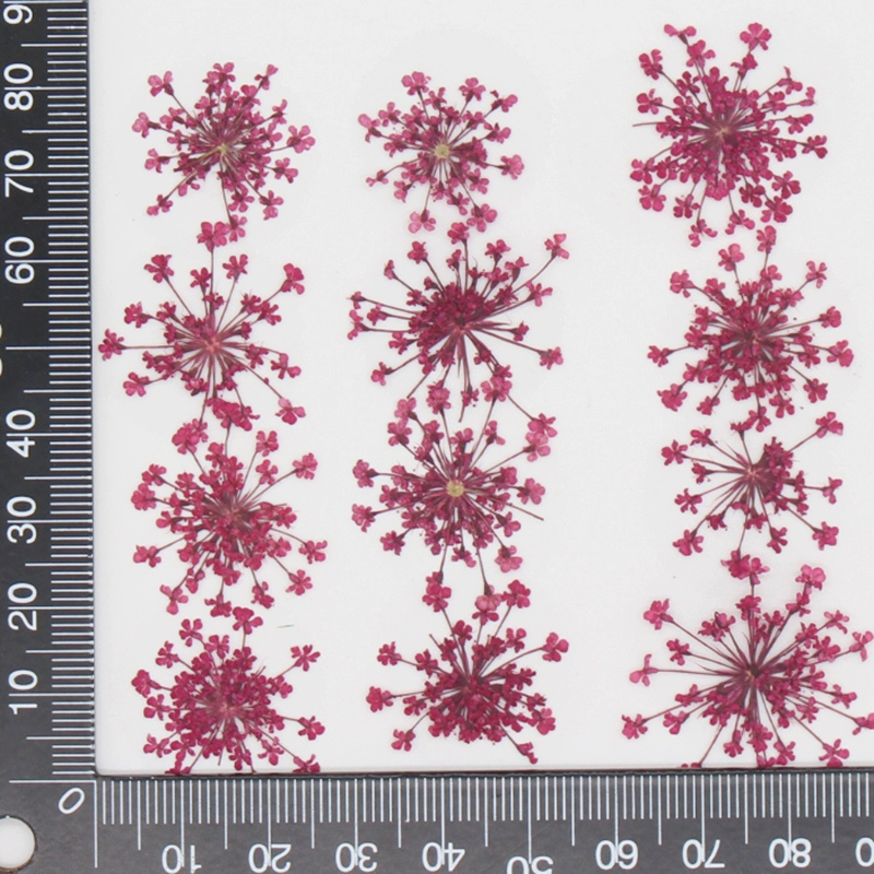 12pcs,Pressed Snow Pearl Lace  - огляд і ціна Art Craft 2 Year Olds